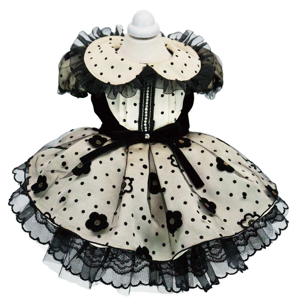 【NEW】コリエワンピース