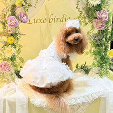 画像をギャラリービューアに読み込む, 【NEW】シュロードレス
