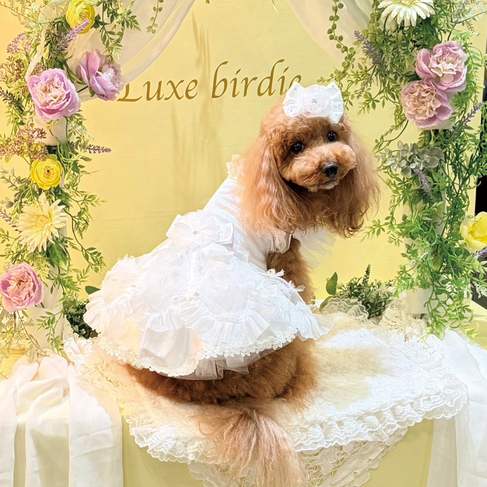 NEW】シュロードレス – Luxebirdie