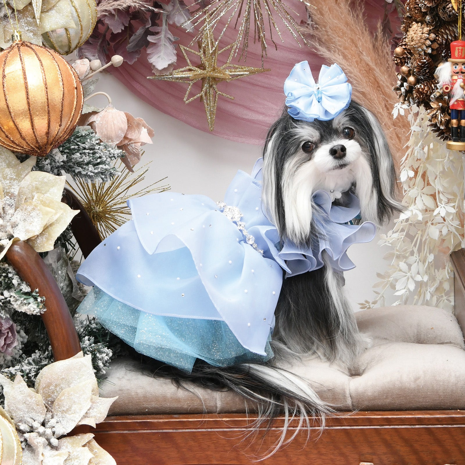 リュクスバーディ　クールクールタンク　ブルー BIRDIE 犬の服 春 夏 Luxe birdie クールクールタンク ブルー