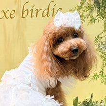 画像をギャラリービューアに読み込む, 【NEW】シュローバレッタ
