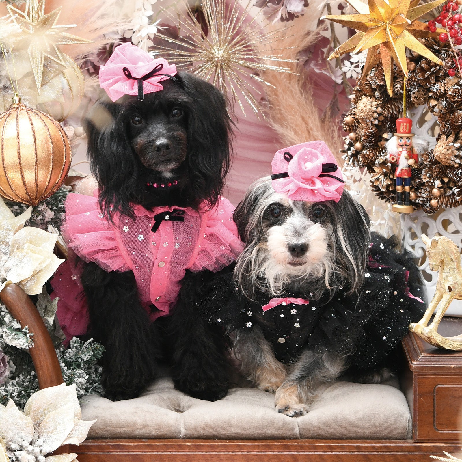 NEW】ペティアンドレス – Luxebirdie