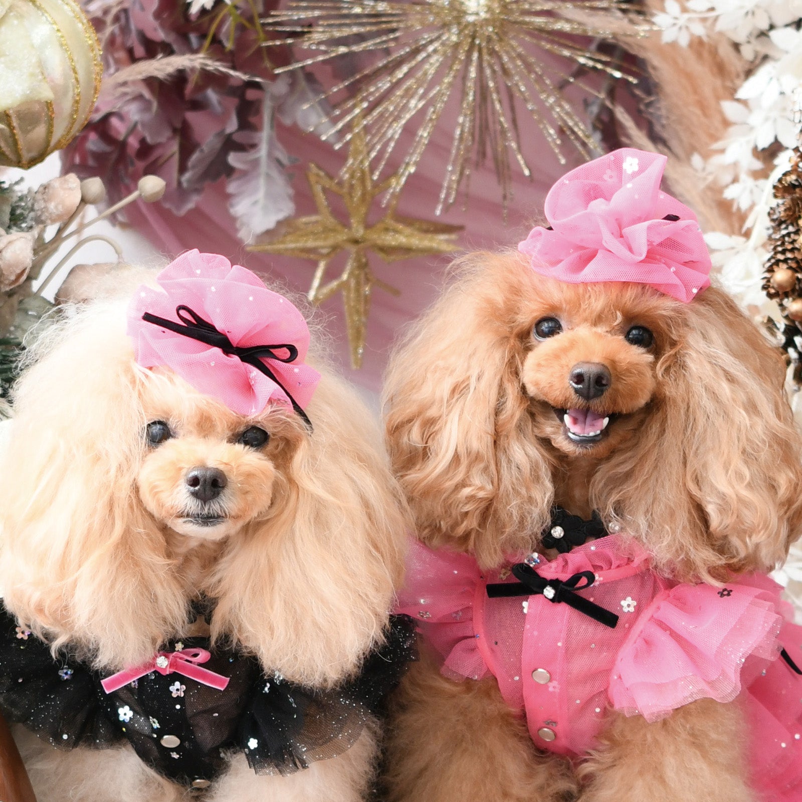 アクセサリー – Luxebirdie