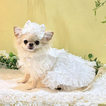 画像をギャラリービューアに読み込む, 【NEW】シュロードレス
