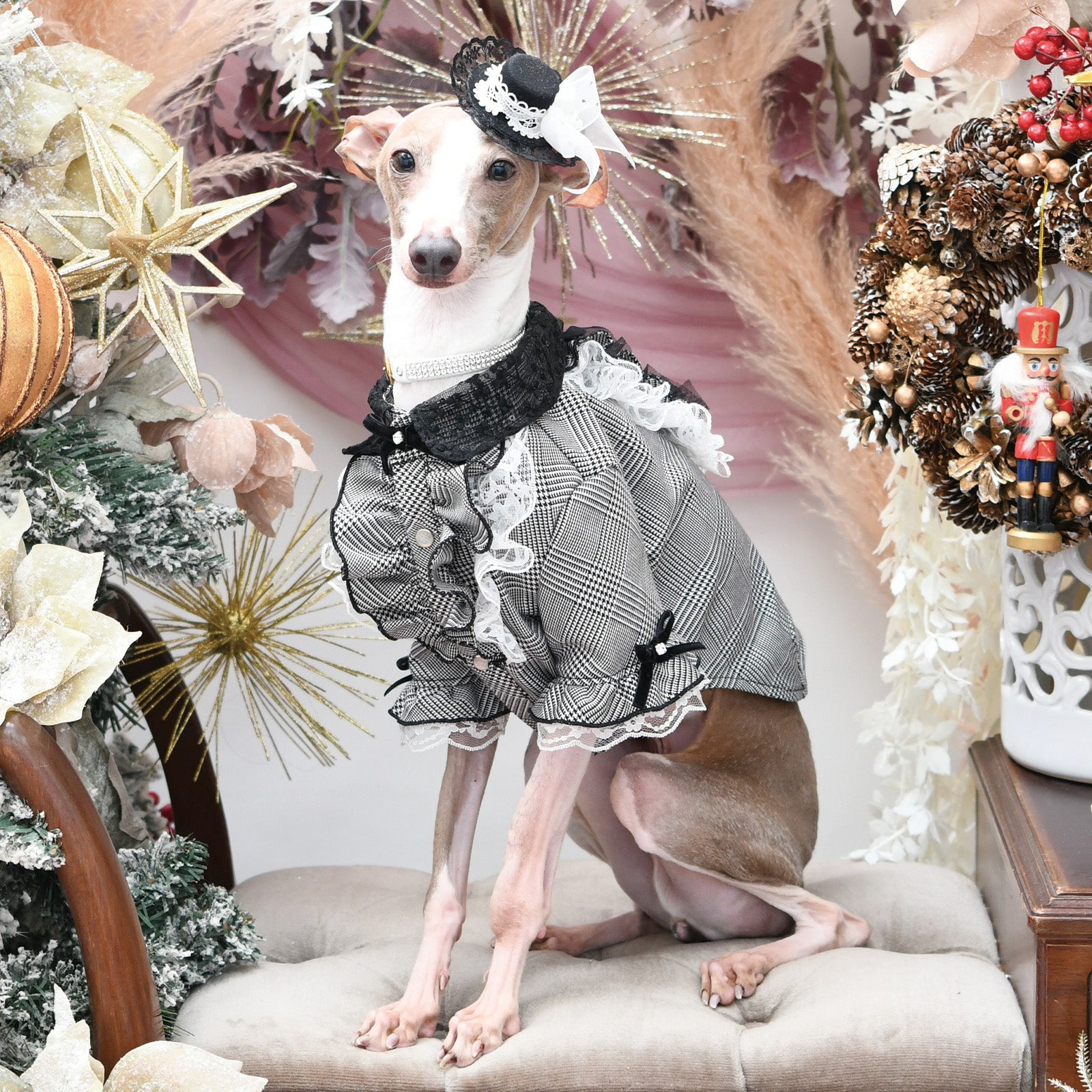 リュクスバーディ　Mサイズ　2着セット リュクスバーディ Mサイズ 2着セット 楽天市場】リュクス