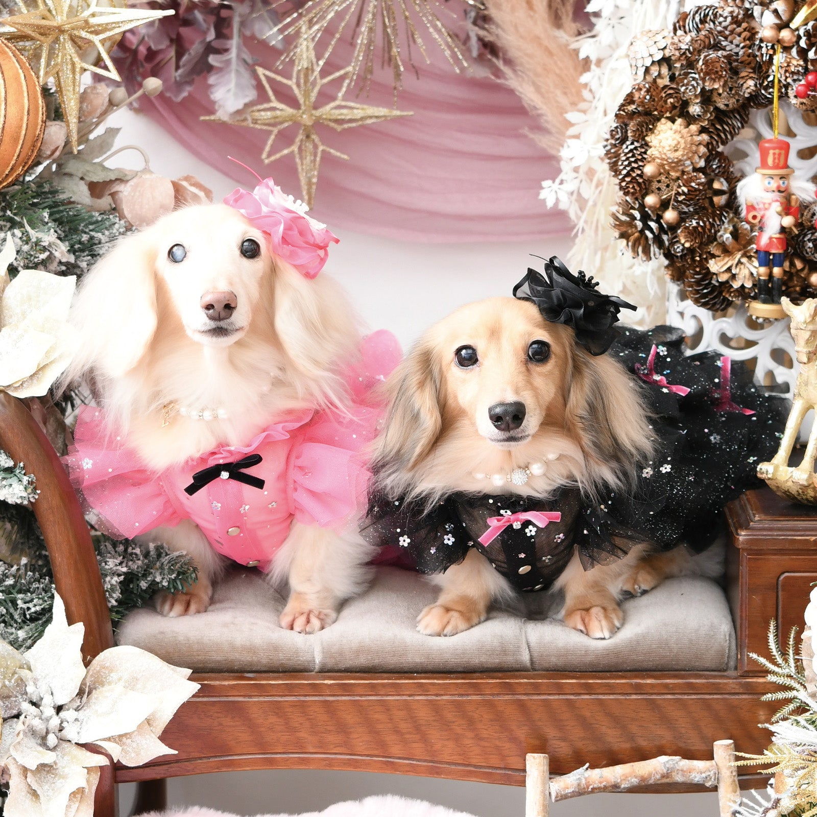 NEW】ペティアンドレス – Luxebirdie