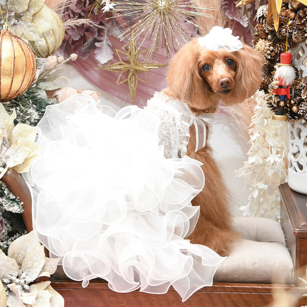 Products – Luxebirdie