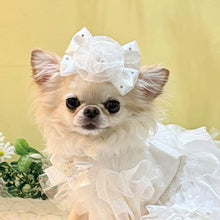 画像をギャラリービューアに読み込む, 【NEW】シュローバレッタ
