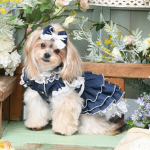 画像をギャラリービューアに読み込む, 【NEW】ラ・ヴァーグバレッタ
