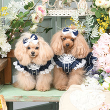 画像をギャラリービューアに読み込む, 【NEW】ラ・ヴァーグバレッタ
