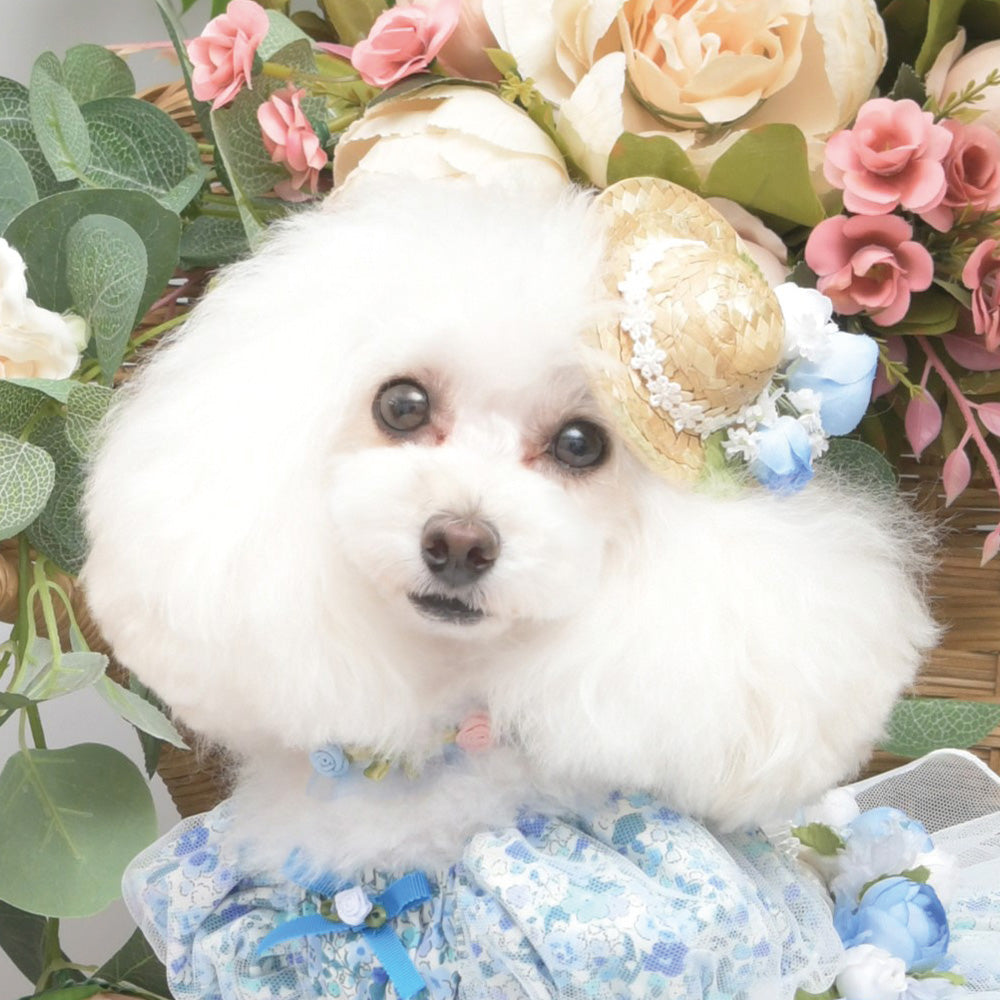 Products – ページ 11 – Luxebirdie