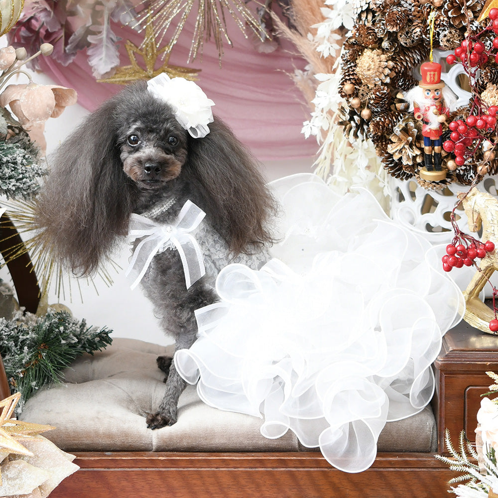 NEW】フェ・ブランシュドレス – Luxebirdie