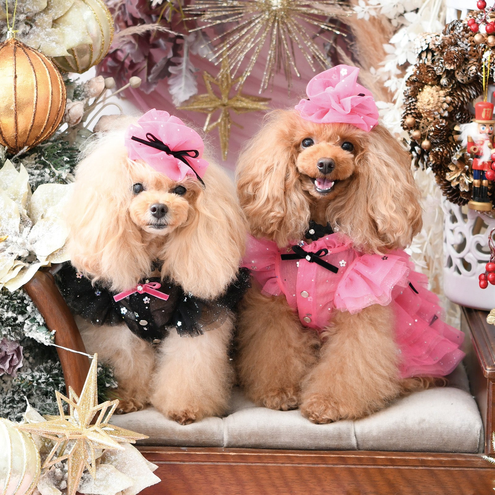 ウェア – Luxebirdie