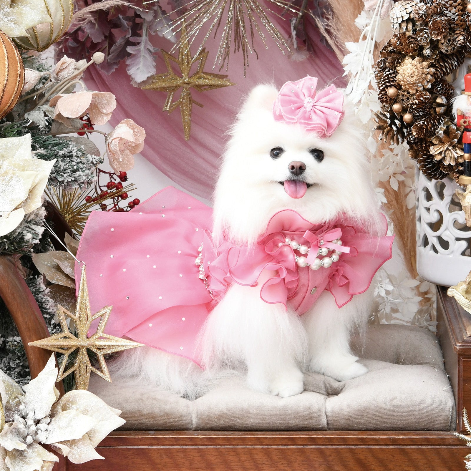 NEW】コンフェティドレス – Luxebirdie