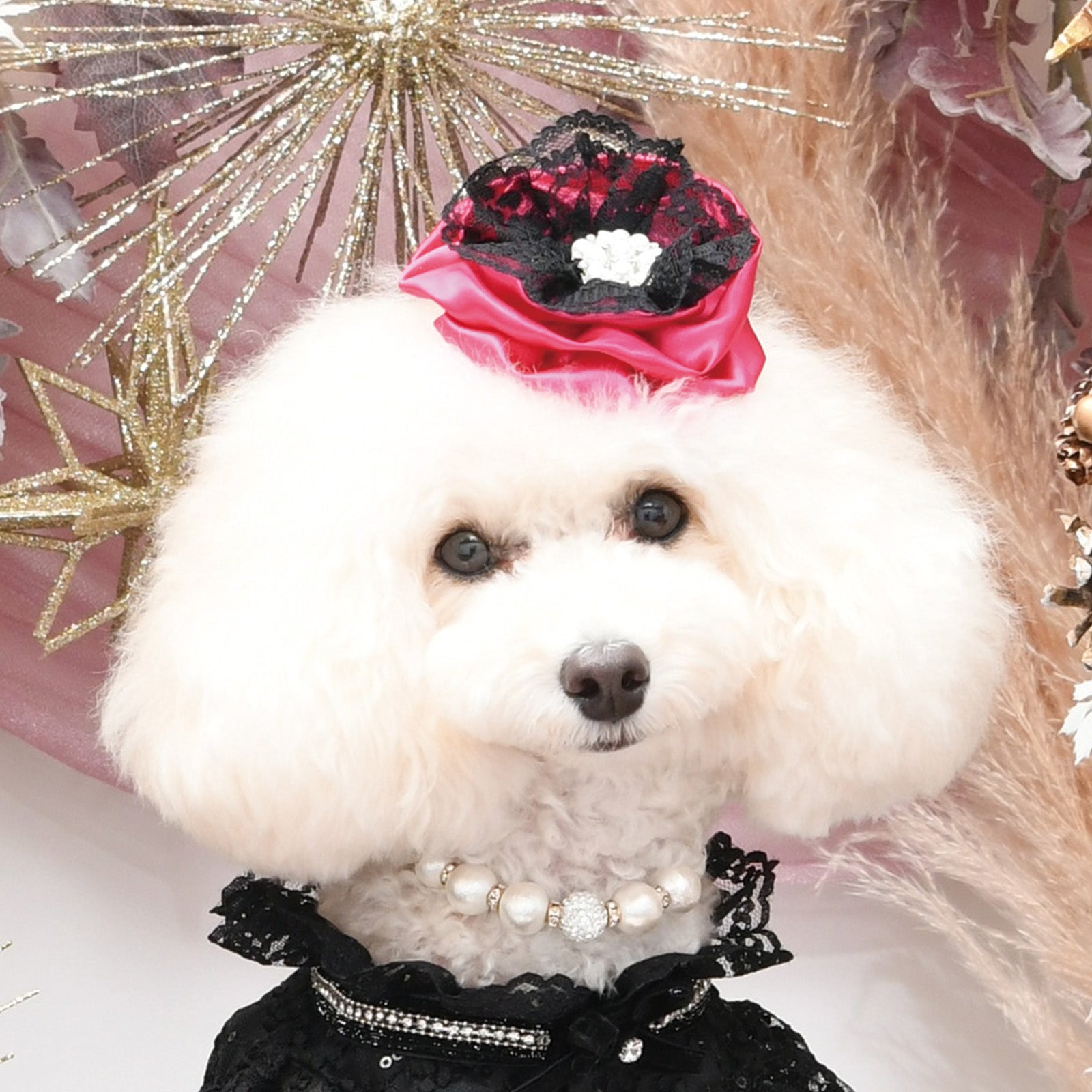 リュクスバーディ　クールクールタンク　s アクセサリー – Luxebirdie