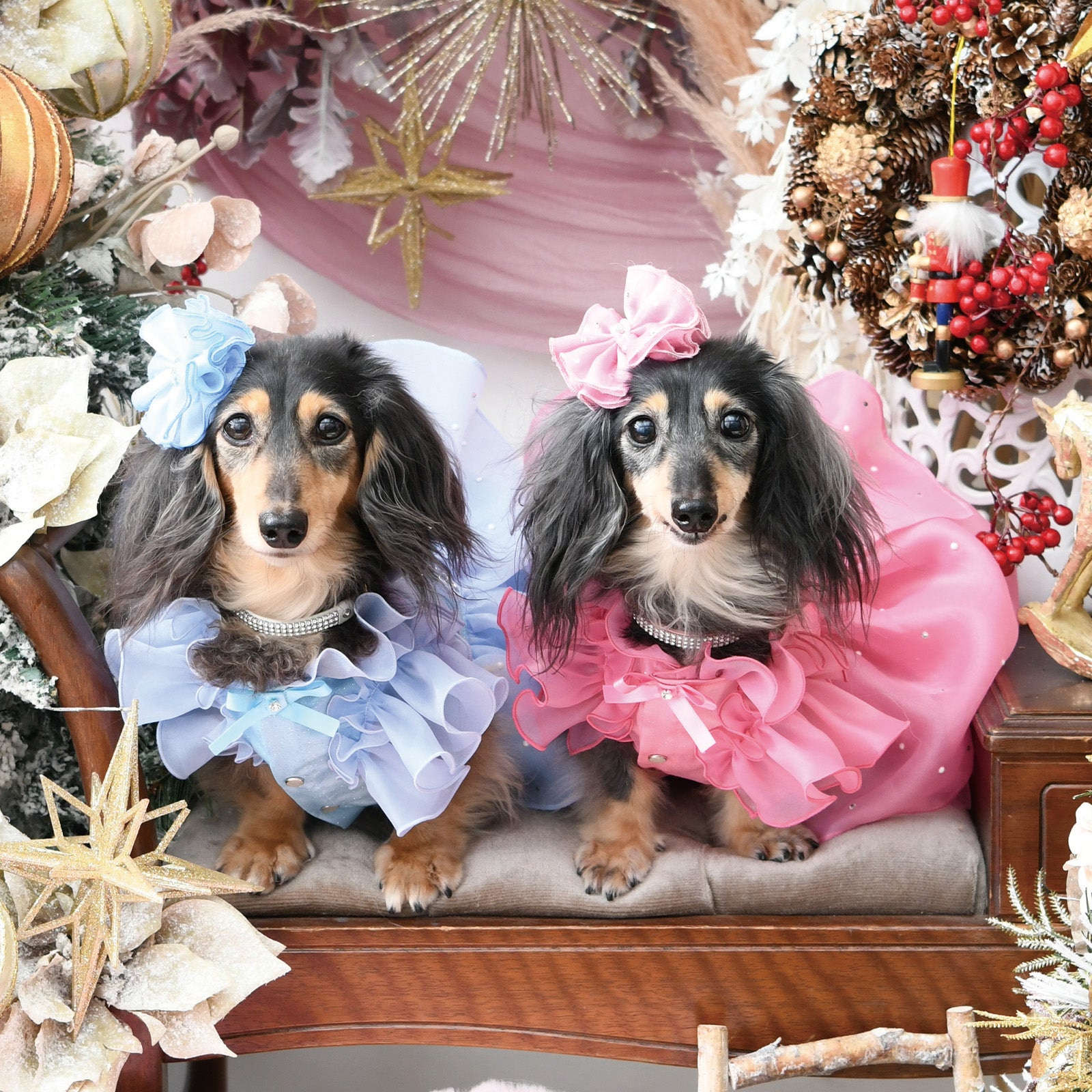 NEW】コンフェティドレス – Luxebirdie