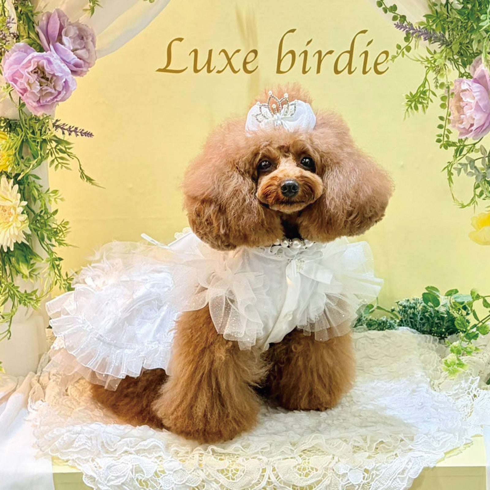 NEW】シュロードレス – Luxebirdie