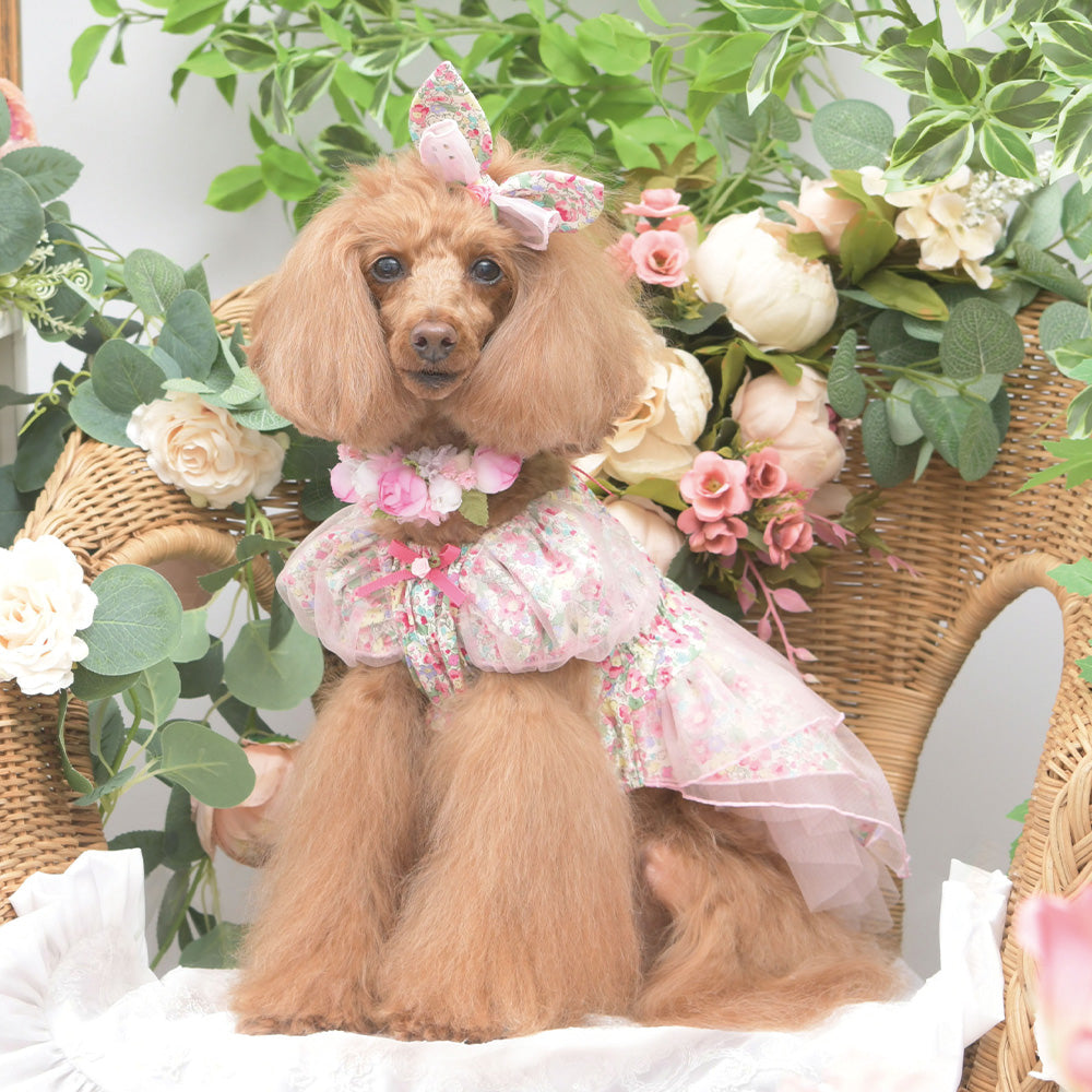 新品タグ付き！リュクスバーディフィオーリワンピース　サイズS 新品タグ付き！リュクスバーディフィオーリワンピース サイズS