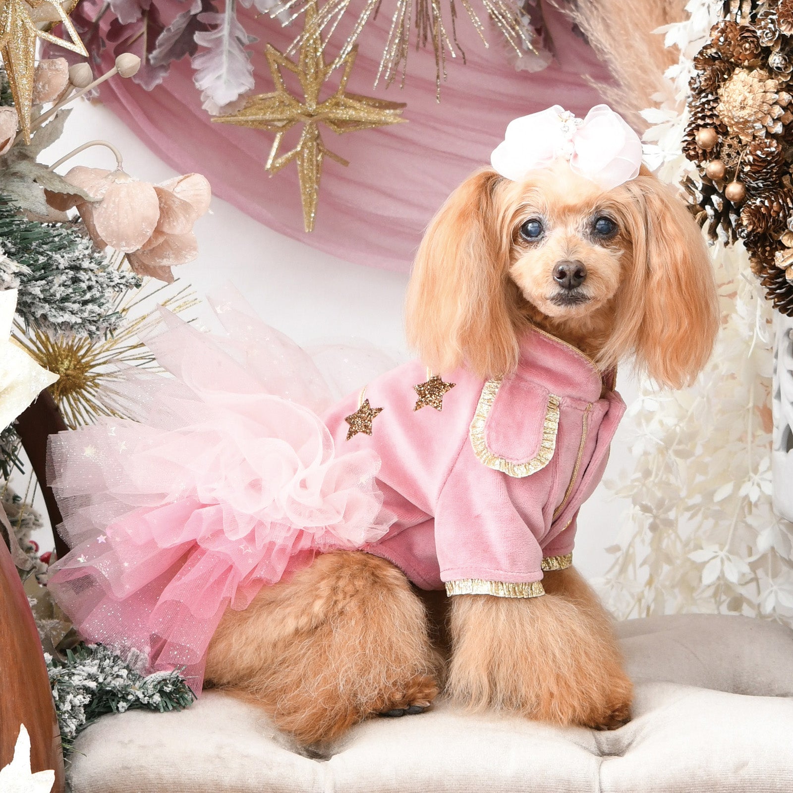 【新品未使用】Luxebirdie シャルマンツーピース リュクスバーディ Luxe birdie シャルマンツーピース 小型犬 犬