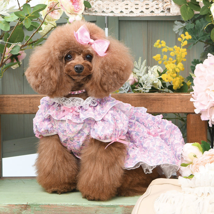M*a様 犬服リュクスバーディ 楽天市場】リュクスバーディ Luxe birdie ラヴィルワンピース【小型犬