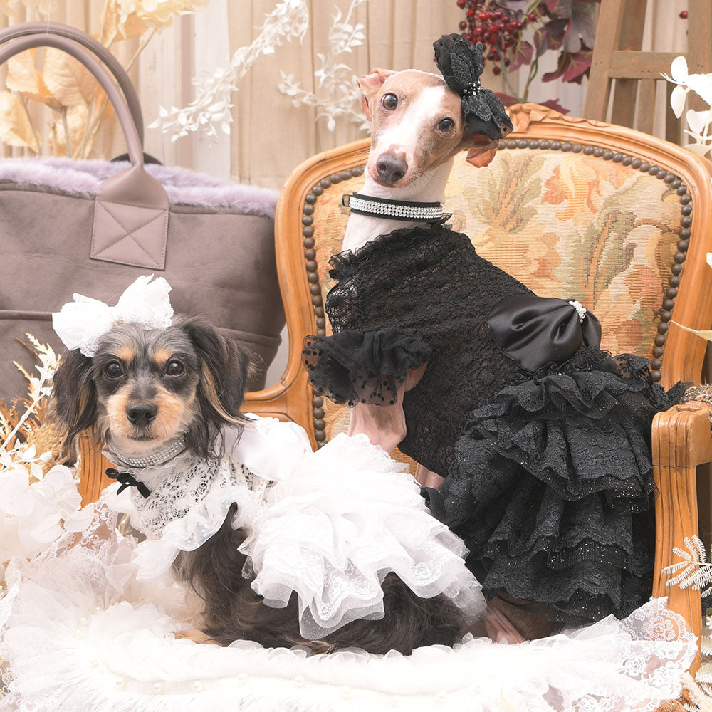 【新品未使用】Luxebirdie シャルマンツーピース SALE 30%OFF】シャルマンツーピース – Luxebirdie