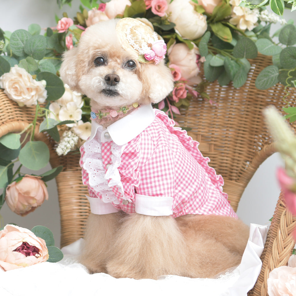 2025 Spring & Summer Collection – ページ 2 – Luxebirdie