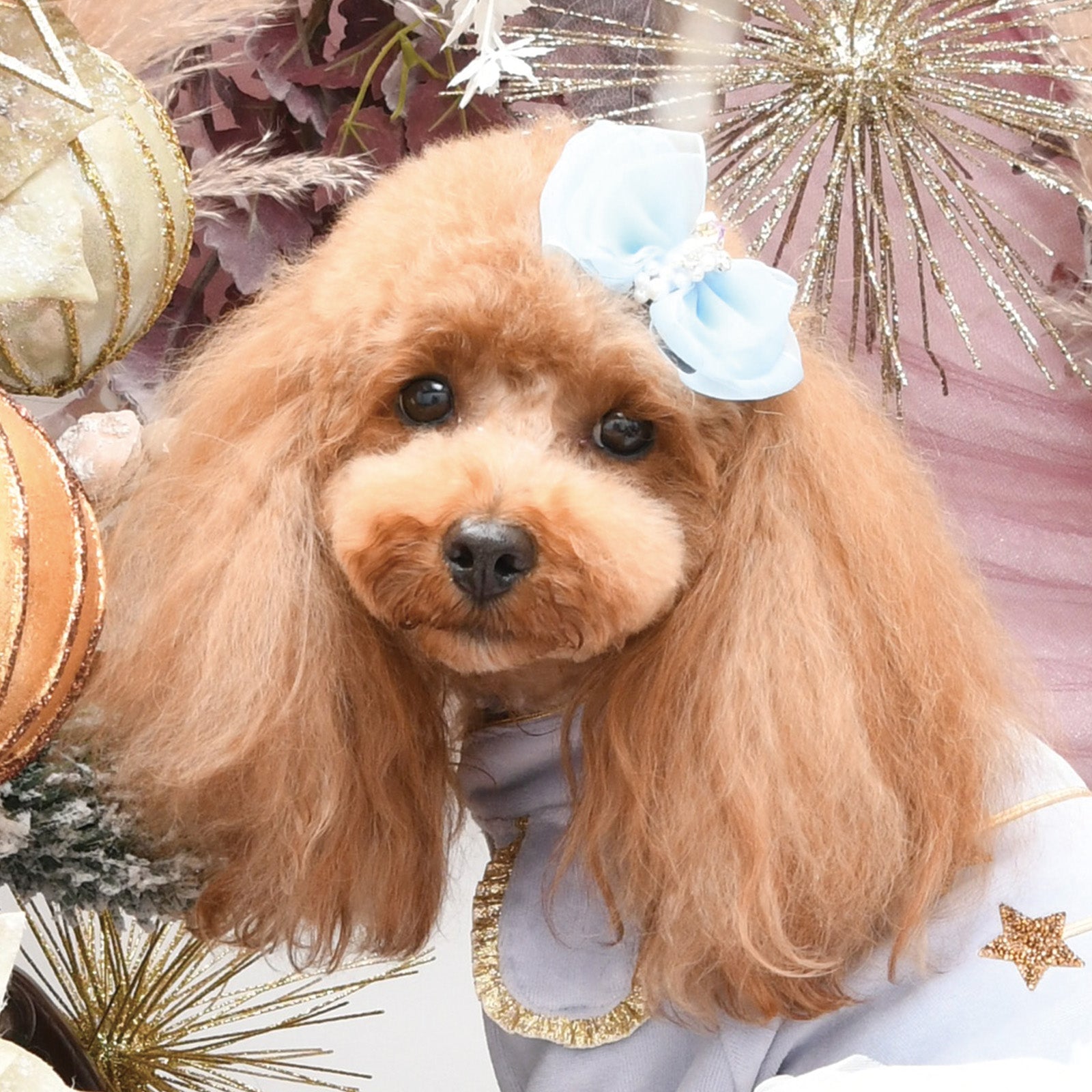 アクセサリー – Luxebirdie