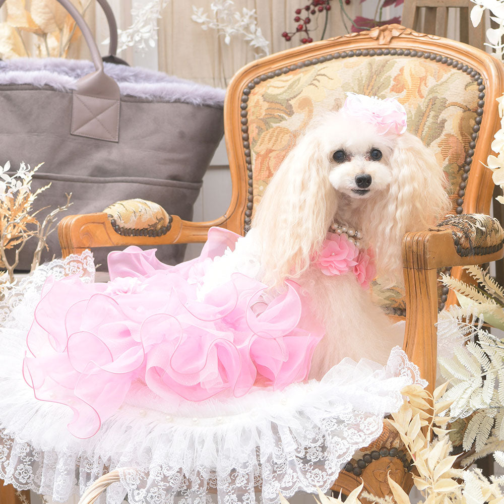 新品】リュクスバーディロズレドレスM