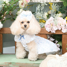 画像をギャラリービューアに読み込む, 【NEW】オードリーバレッタ
