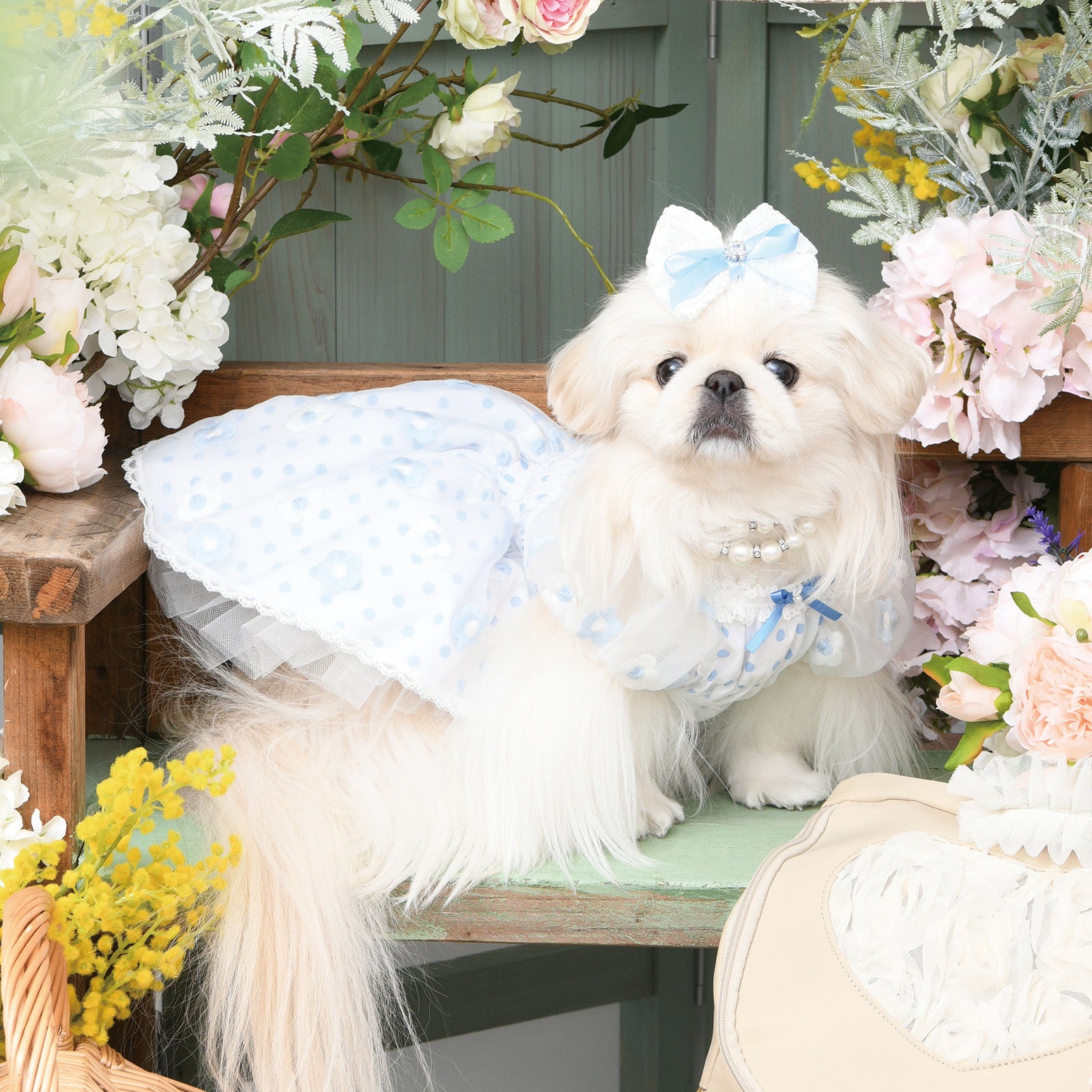 Products – ページ 3 – Luxebirdie
