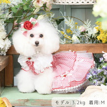 画像をギャラリービューアに読み込む, 【NEW】ブリジットワンピース
