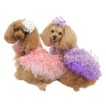 画像をギャラリービューアに読み込む, 【NEW】エール・ダンジュドレス
