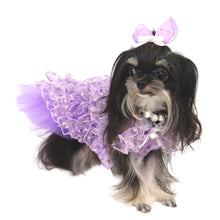 画像をギャラリービューアに読み込む, 【NEW】エール・ダンジュドレス
