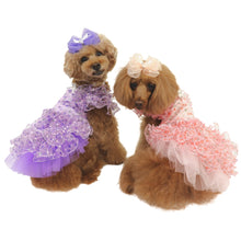 画像をギャラリービューアに読み込む, 【NEW】エール・ダンジュドレス
