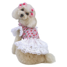 画像をギャラリービューアに読み込む, 【NEW】プティボヌールバレッタ
