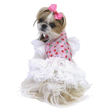 画像をギャラリービューアに読み込む, 【NEW】レ・フリュイバレッタ
