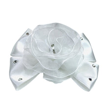 画像をギャラリービューアに読み込む, 【NEW】シュローバレッタ
