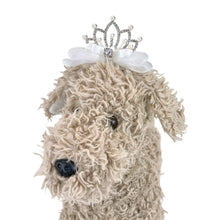 画像をギャラリービューアに読み込む, 【SOLD OUT】クロンヌバレッタ
