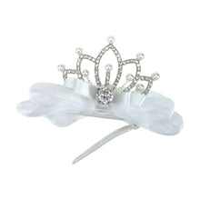 画像をギャラリービューアに読み込む, 【SOLD OUT】クロンヌバレッタ
