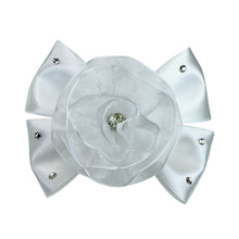 画像をギャラリービューアに読み込む, 【NEW】シュローバレッタ
