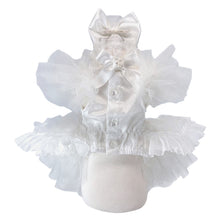 画像をギャラリービューアに読み込む, 【NEW】シュロードレス
