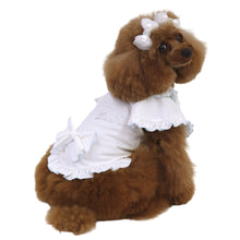 画像をギャラリービューアに読み込む, 【NEW】ル・セル・トワプルオーバー
