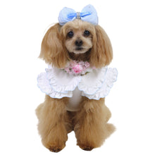 画像をギャラリービューアに読み込む, 【NEW】ル・セル・トワプルオーバー
