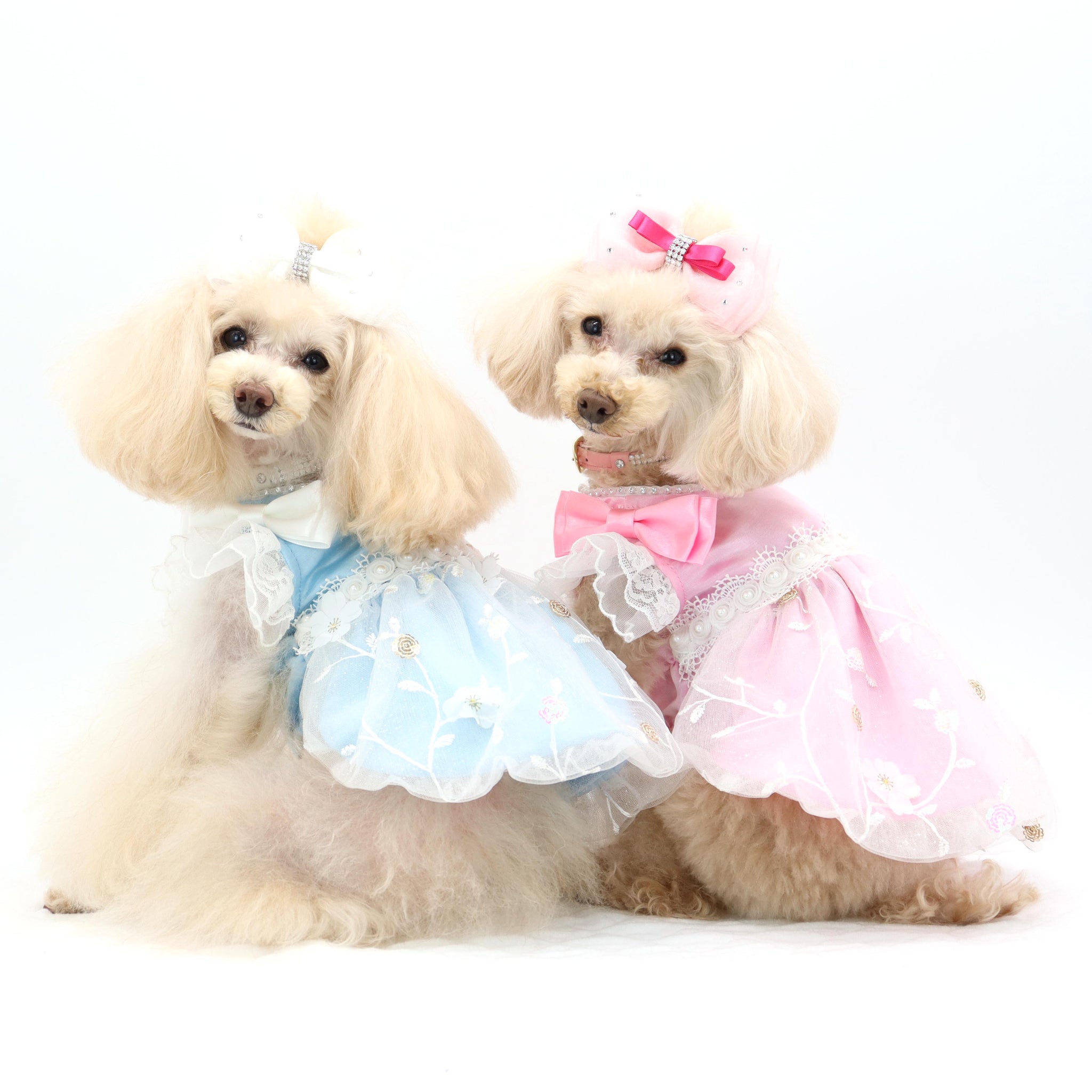 SALE60%OFF】ラフィネドレス – Luxebirdie