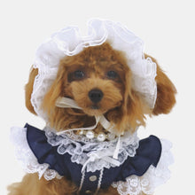 画像をギャラリービューアに読み込む, 【NEW】シエルキャプリーヌ
