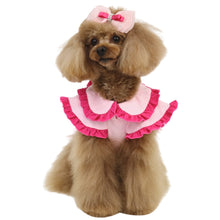 画像をギャラリービューアに読み込む, 【NEW】ル・セル・トワプルオーバー
