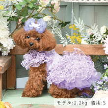 画像をギャラリービューアに読み込む, 【NEW】エール・ダンジュドレス
