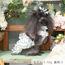 画像をギャラリービューアに読み込む, 【NEW】プリッセドレス
