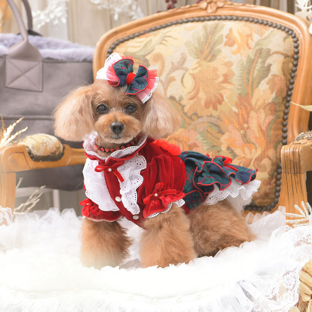 luxebirdie リュクスバーディ アイナワンピース S アイナワンピース – Luxebirdie