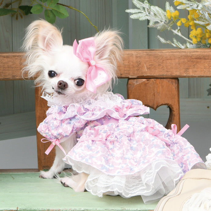 Products – Luxebirdie